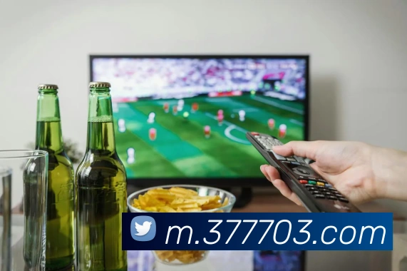 V66体育APP 封面图